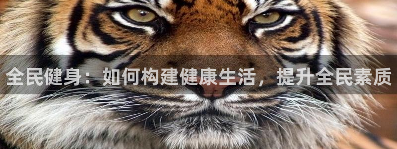 中欧体育集团