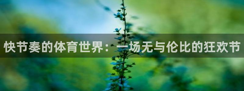 中欧体育登录