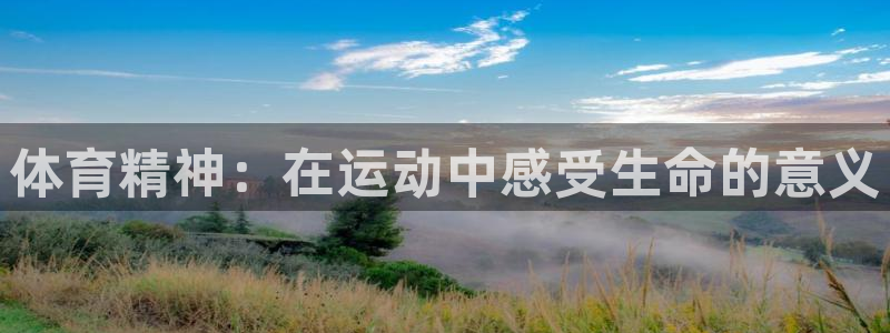 中欧体育网页登录