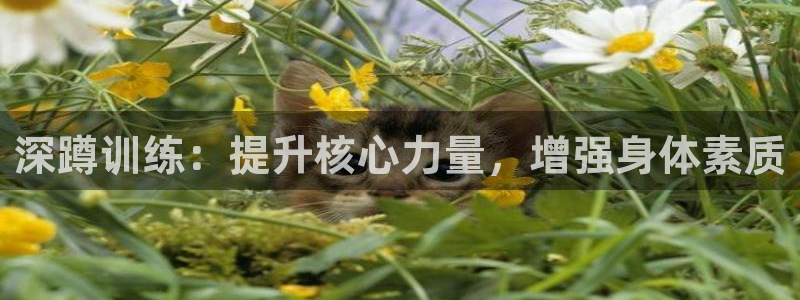 zoty中欧体育