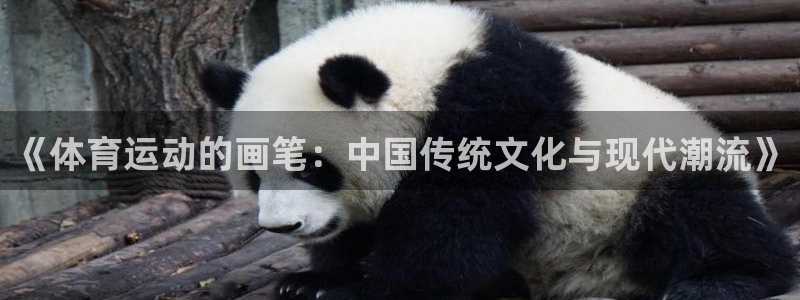 中欧体育网页版