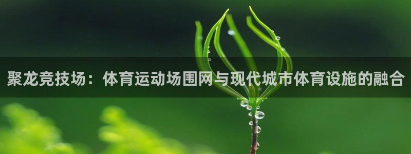 中欧体育官网