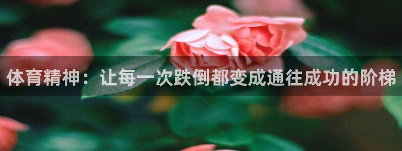中欧体育客服