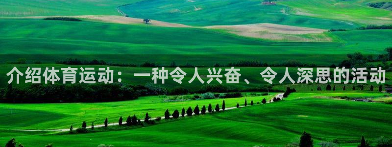 中欧体育kok官网首页