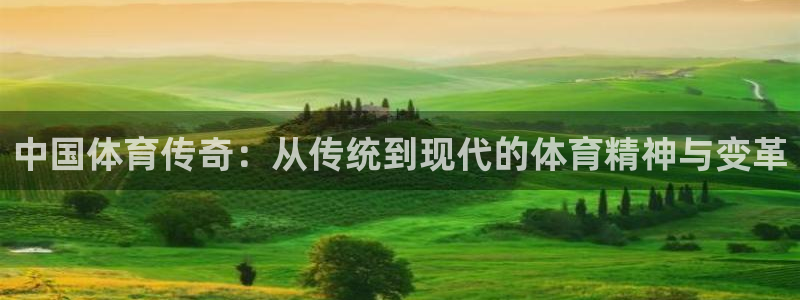 中欧体育(zoty)官网