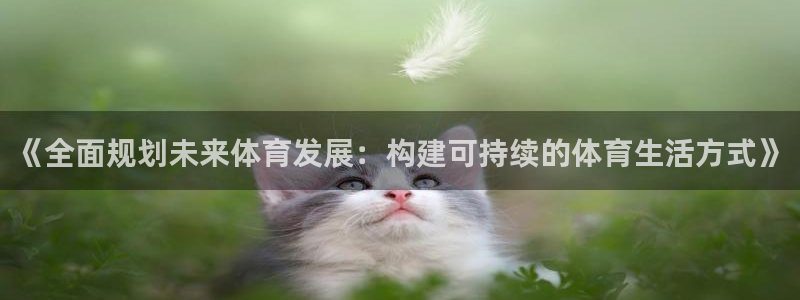 中欧体育网页版