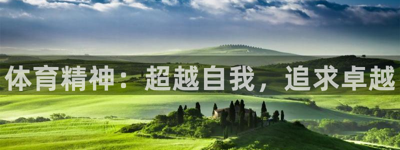 中欧体育官网