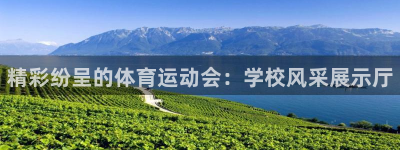 zoty中欧体育平台