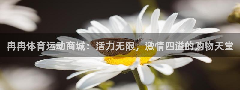 中欧体育官网入口