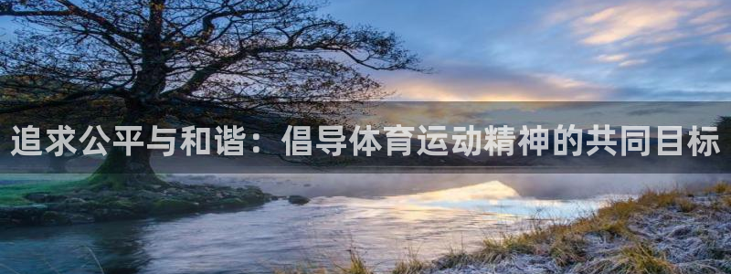 中欧体育kok