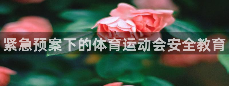 中欧体育zoty下载