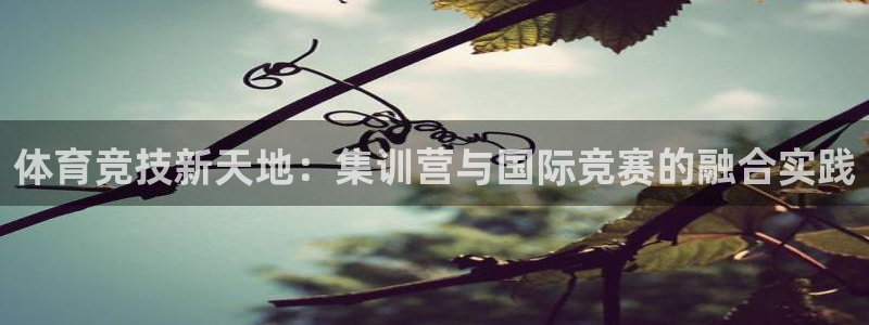 zoty中欧体育